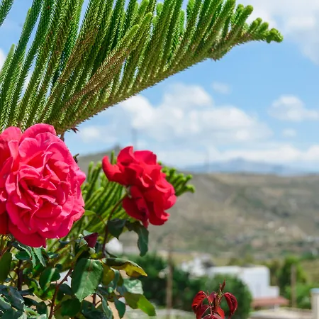 Of Roses In Naxos - Private With Pool Willa Naxos City