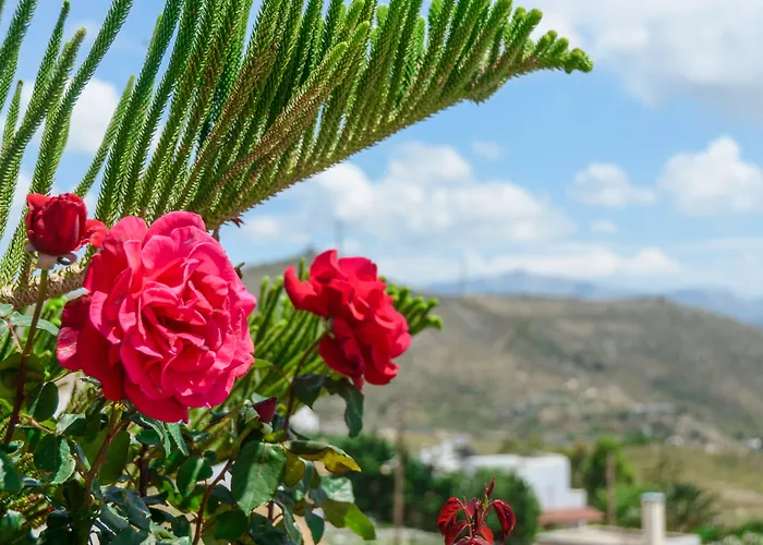 Of Roses In Naxos - Private With Pool 别墅 Naxos City